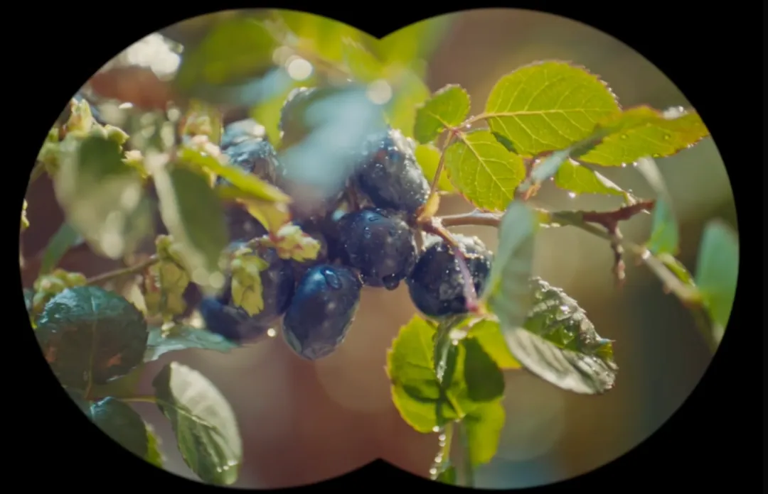 春日营销的C位,终究还是被它占了!