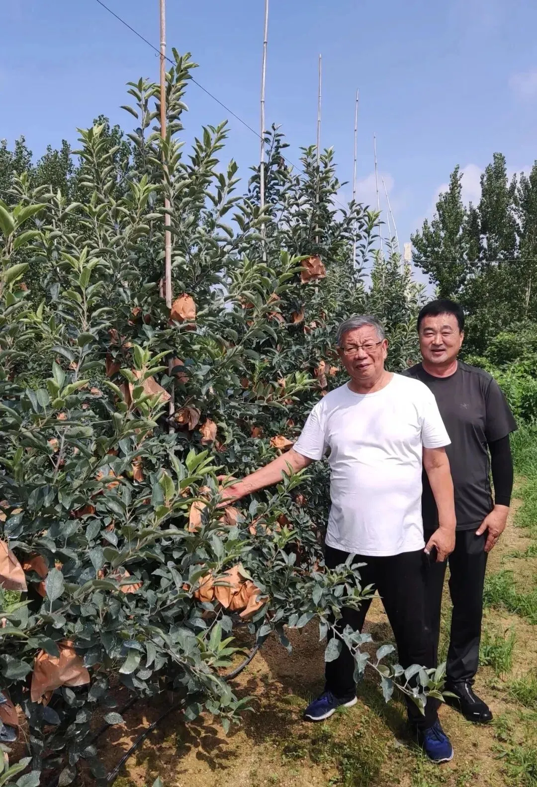 苹果市场动态评析(第240期)丨绝对不可能,正在成为可能