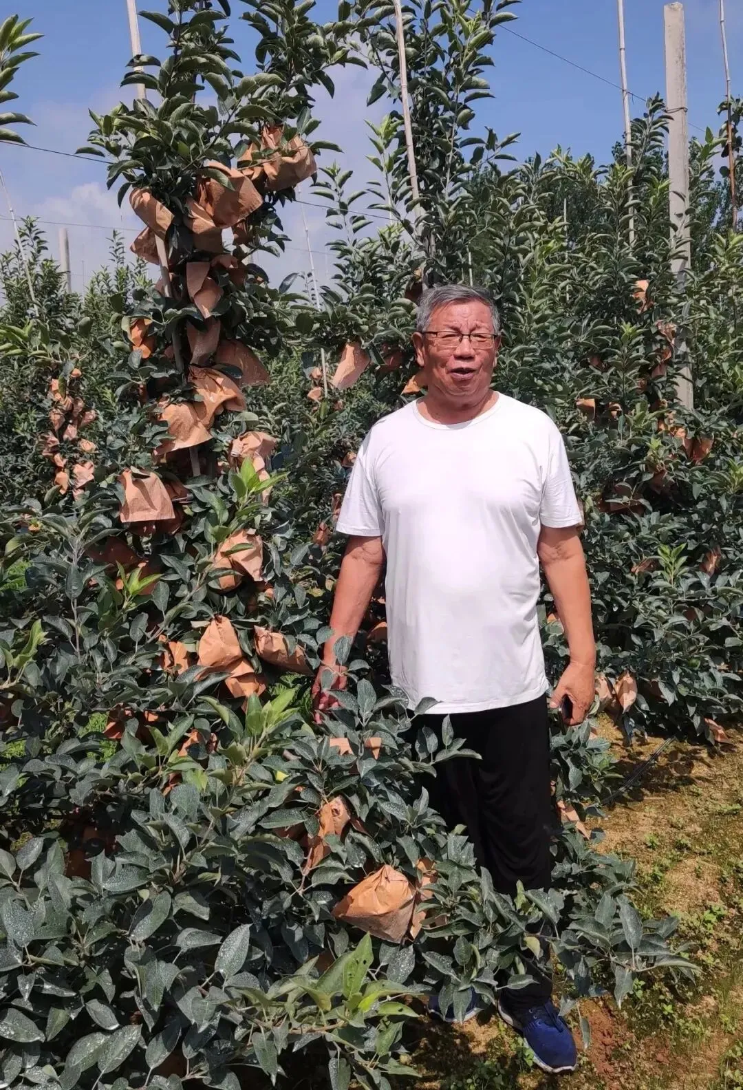 苹果市场动态评析(第240期)丨绝对不可能,正在成为可能