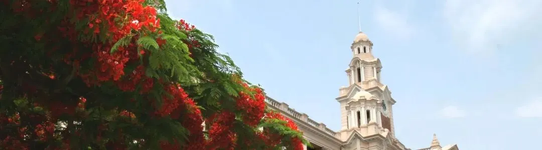 【商科 市场营销】伦敦国王学院全奖博士招生信息 & 申请指南