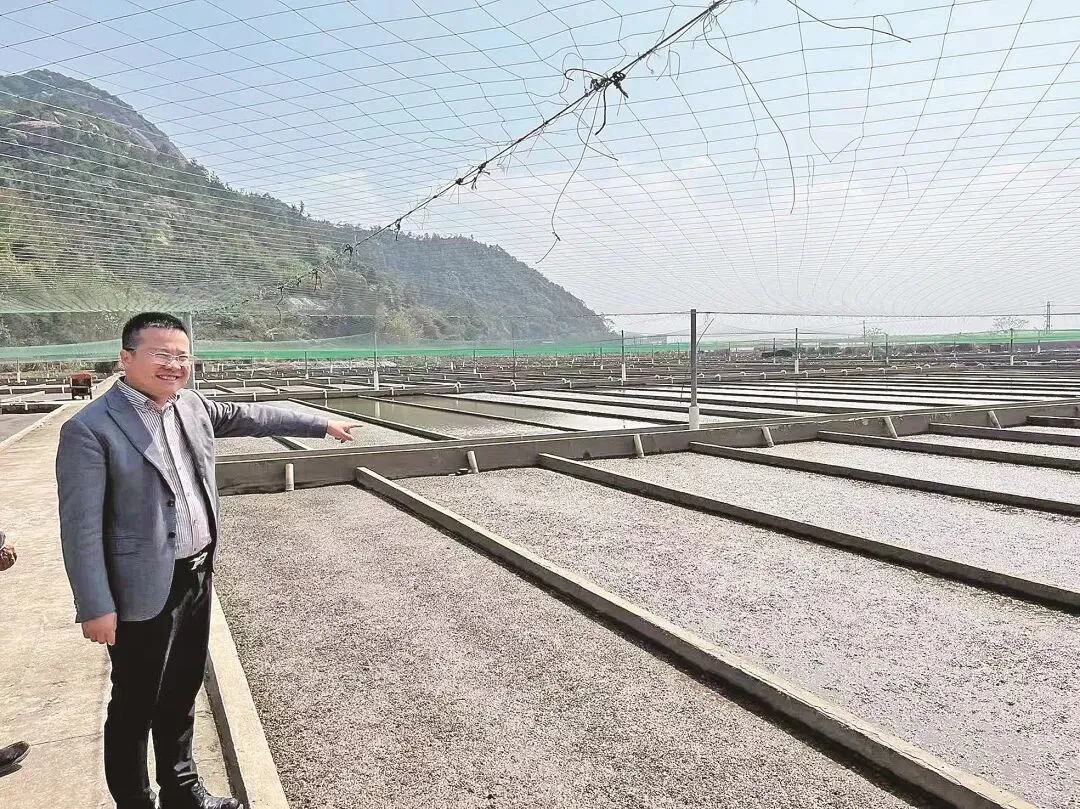 【福建日报重磅专题】从“战场”到“市场” 老兵创业正当时