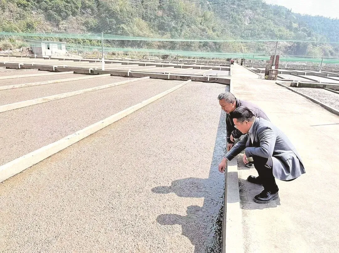 【福建日报重磅专题】从“战场”到“市场” 老兵创业正当时