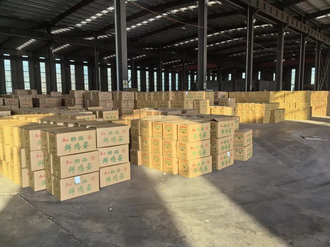 2026.03.17馆陶县金凤市场煜辰蛋业最新鸡蛋价格
