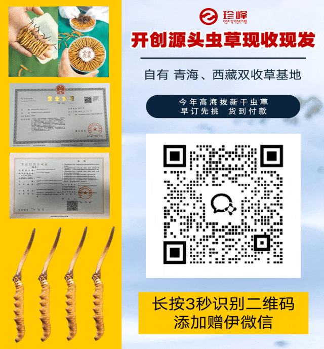 “虫草市场”暴雷!加了微信才知道,源头竟然这么便宜!