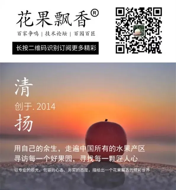 市场的核心问题只有一个:供求关系