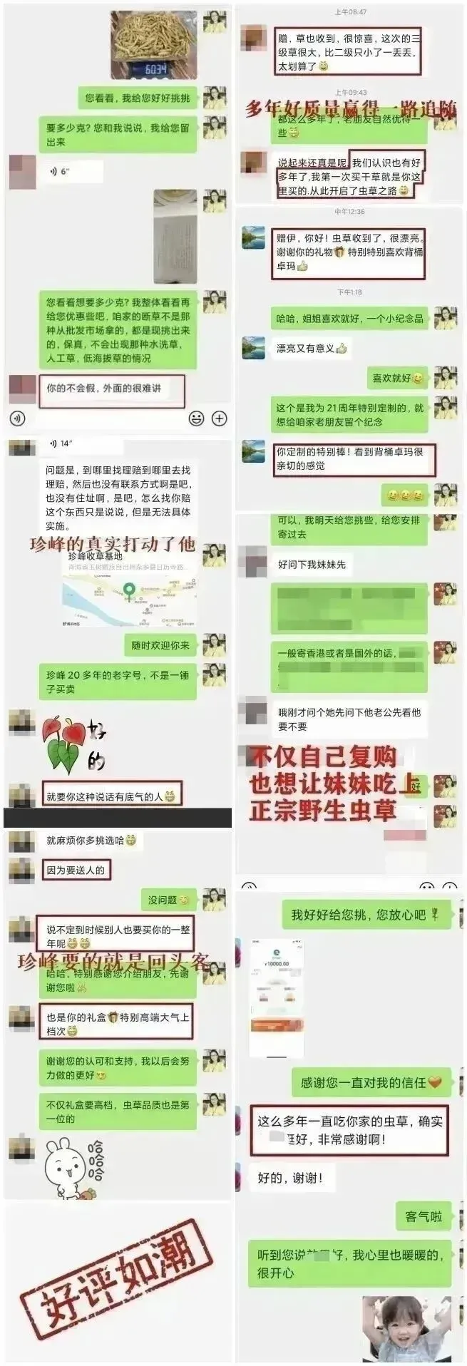 “虫草市场”暴雷!加了微信才知道,源头竟然这么便宜!