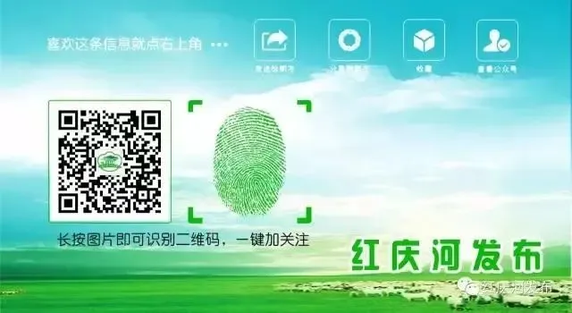 红庆河市场监督管理所开展肉类市场专项整治