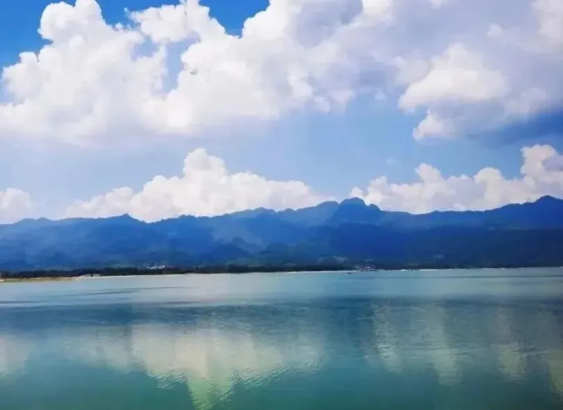 凝心聚力,赋能佳绩|珂深威营销年度总结大会圆满举行