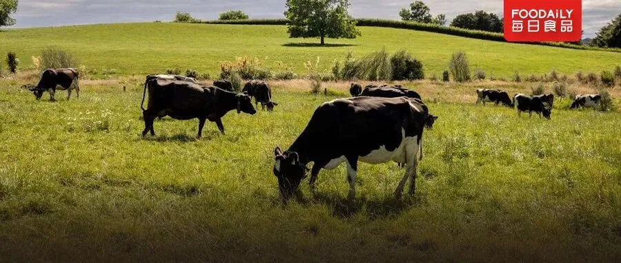 从“出圈”到“入心”,2026品牌营销如何助攻生意增长?