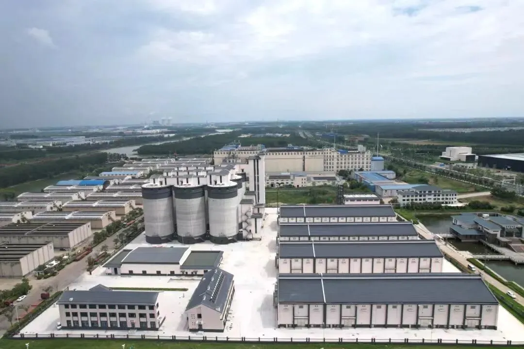 粮油市场报刊文:从“三个一”向“三化”蝶变│苏州储备粮激活内生动能奏响奋进强音