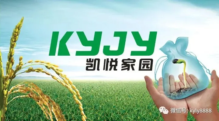 2026中粮粮谷营销公司“万家灯火”铺市启动会纪实