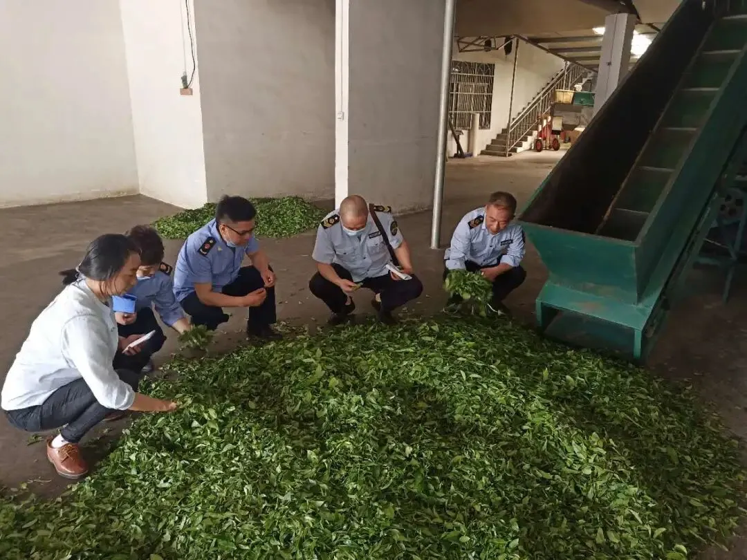 五峰土家族自治县市场监管2020年度工作动态