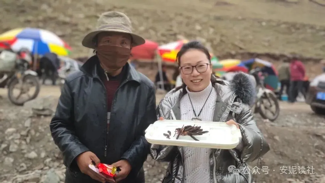 “虫草市场”暴雷!这位叫赠伊的藏族姑娘,在全国火了!