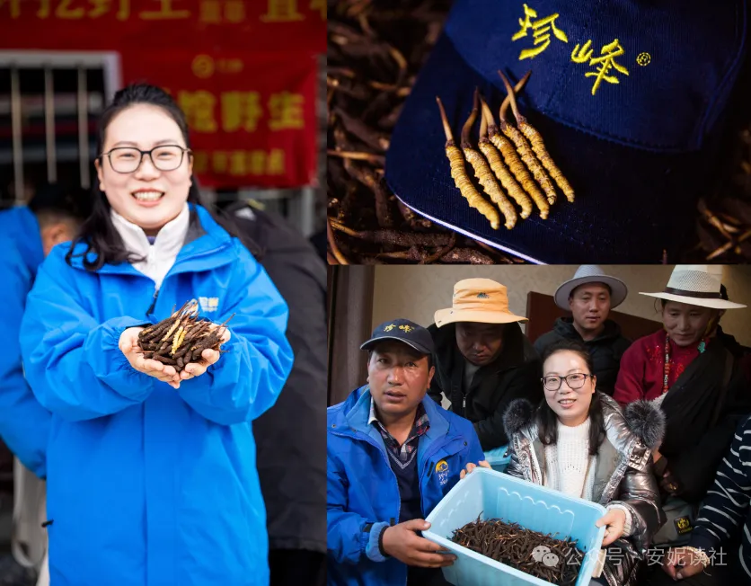 “虫草市场”暴雷!这位叫赠伊的藏族姑娘,在全国火了!