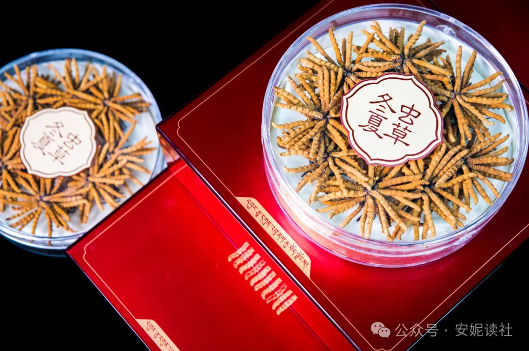 “虫草市场”暴雷!这位叫赠伊的藏族姑娘,在全国火了!