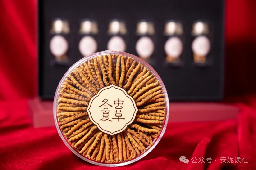 “虫草市场”暴雷!这位叫赠伊的藏族姑娘,在全国火了!