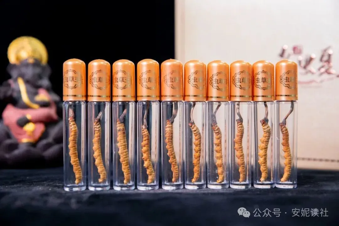 “虫草市场”暴雷!这位叫赠伊的藏族姑娘,在全国火了!