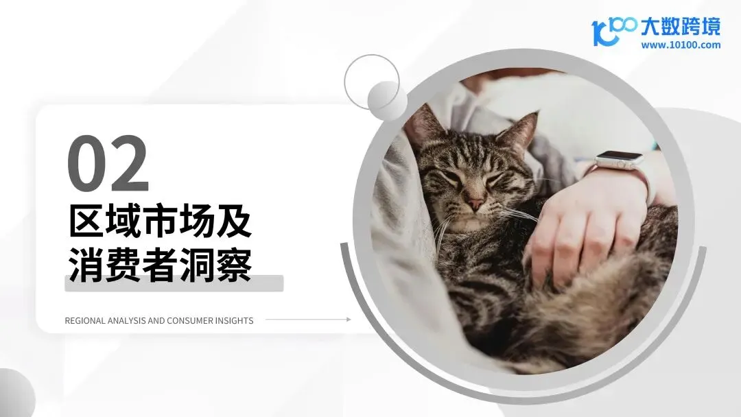 报告解读 | 2025 年宠物殡葬用品市场洞察报告