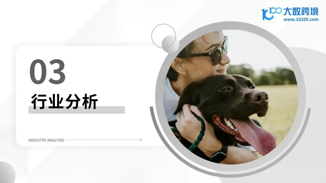 报告解读 | 2025 年宠物殡葬用品市场洞察报告