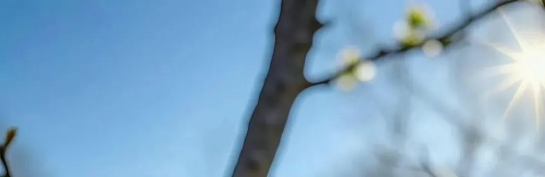 个人IP三部曲:人设、破圈与获客,构建你的影响力三角形