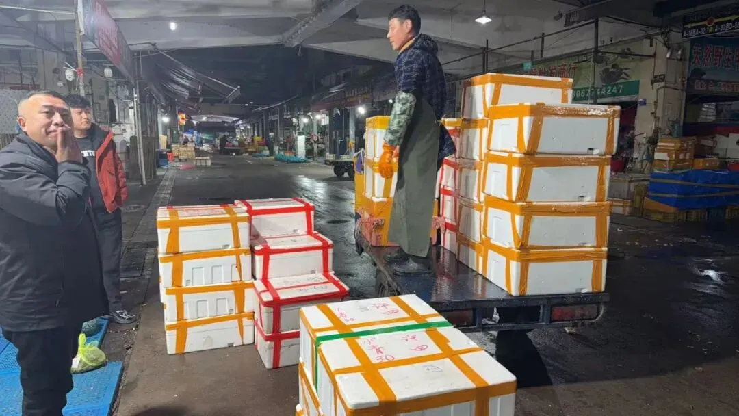 夜间到货!杭州水产市场首批小龙虾抢“鲜”入市