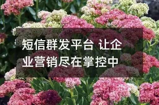 短信群发平台 让企业营销尽在掌控中