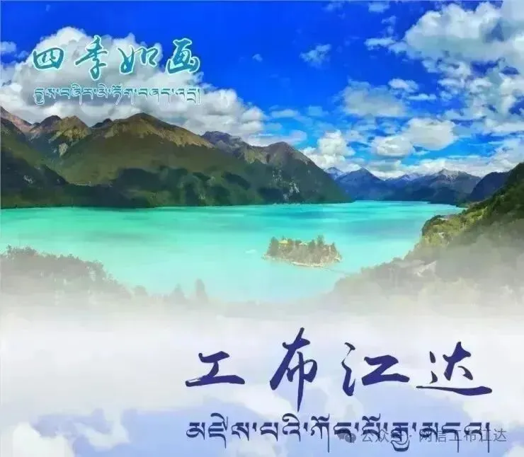 工布江达县市场监督管理局关于公开招聘公益性岗位工作人员公告