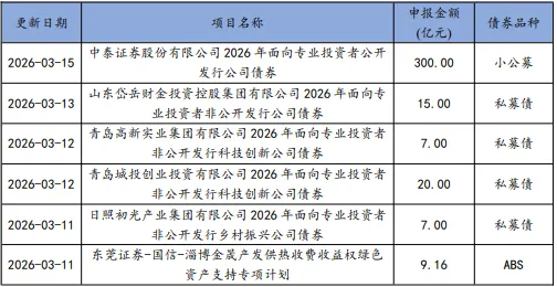 山东债券市场动态