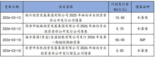 山东债券市场动态