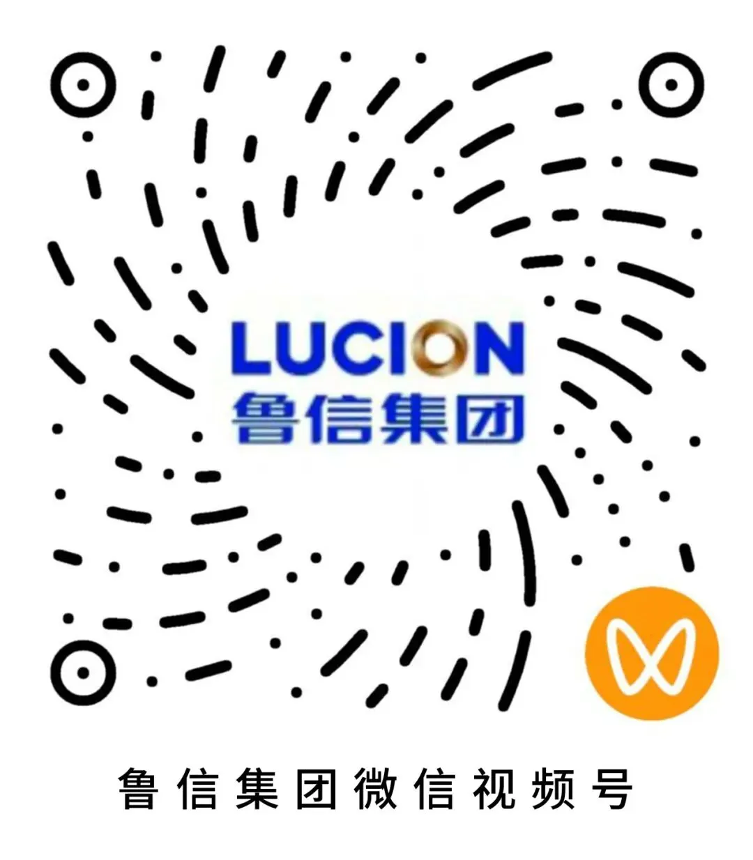 山东债券市场动态