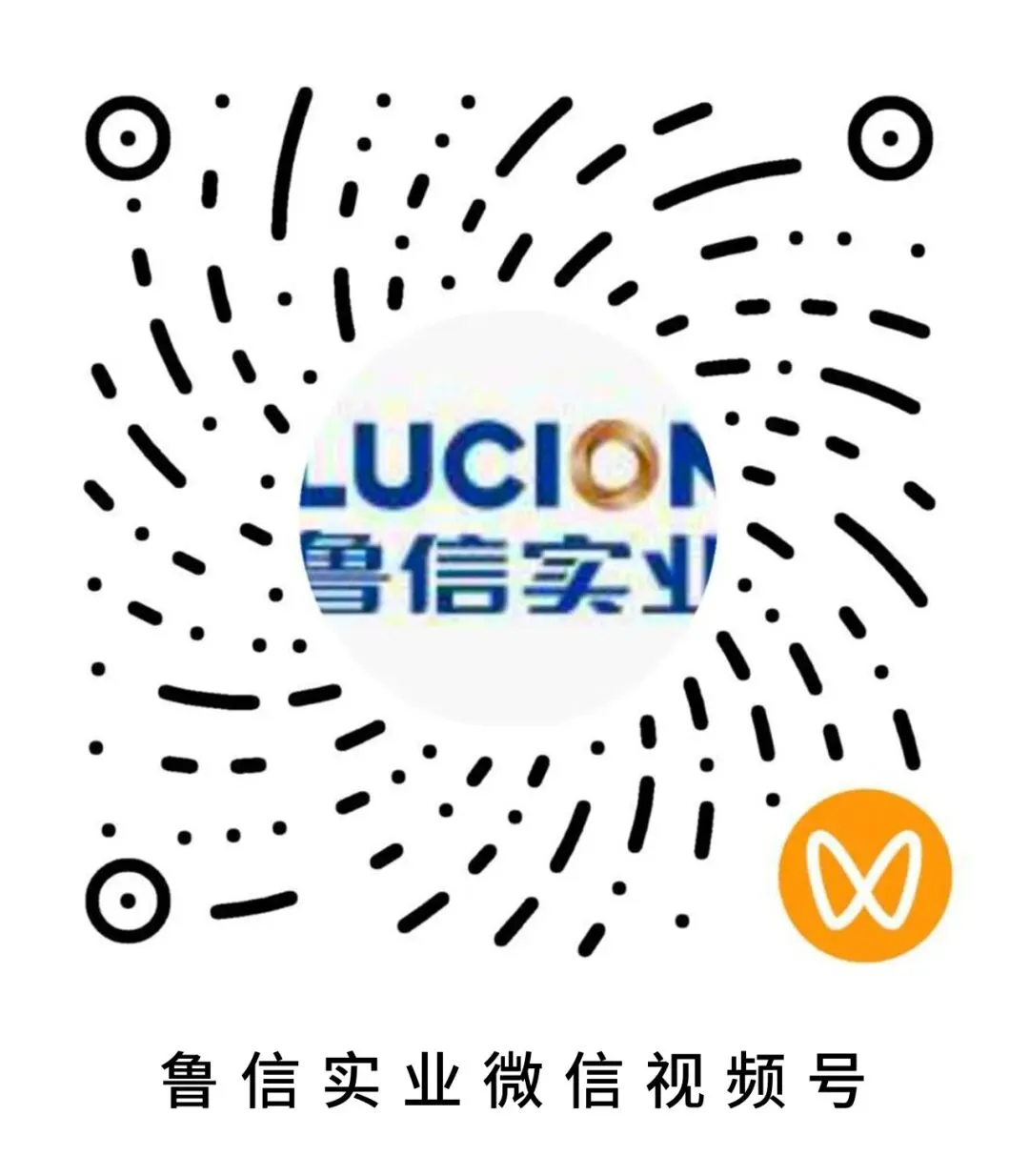 山东债券市场动态