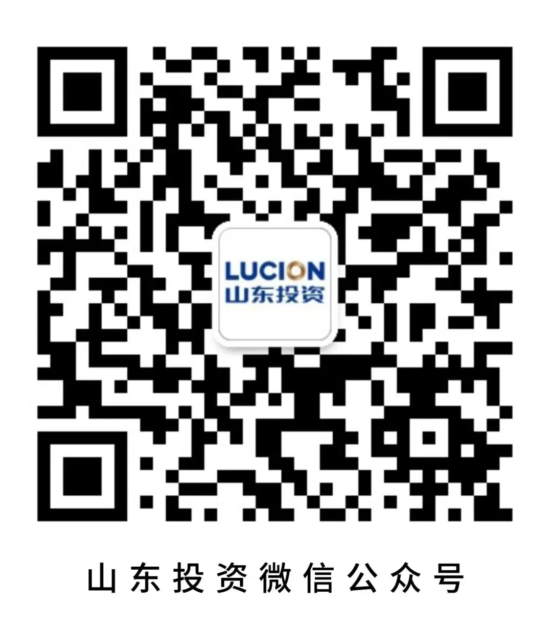 山东债券市场动态