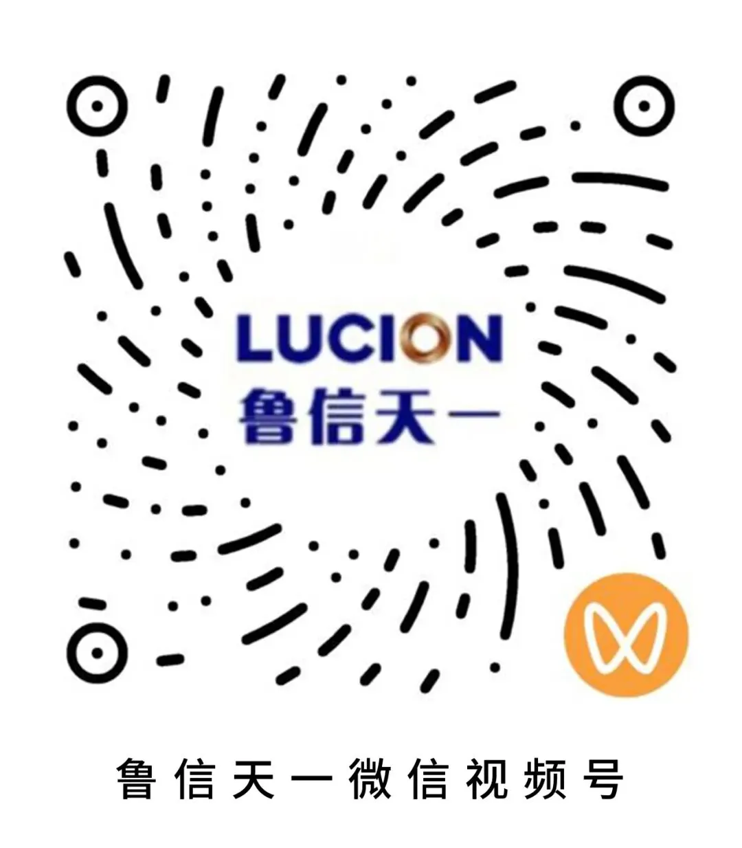 山东债券市场动态