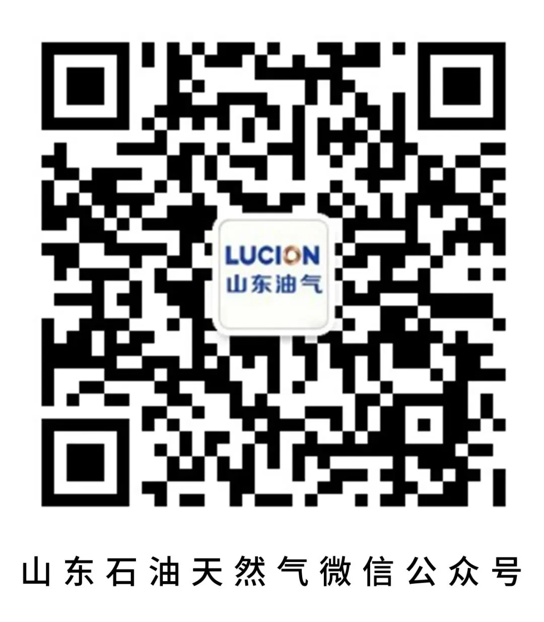 山东债券市场动态