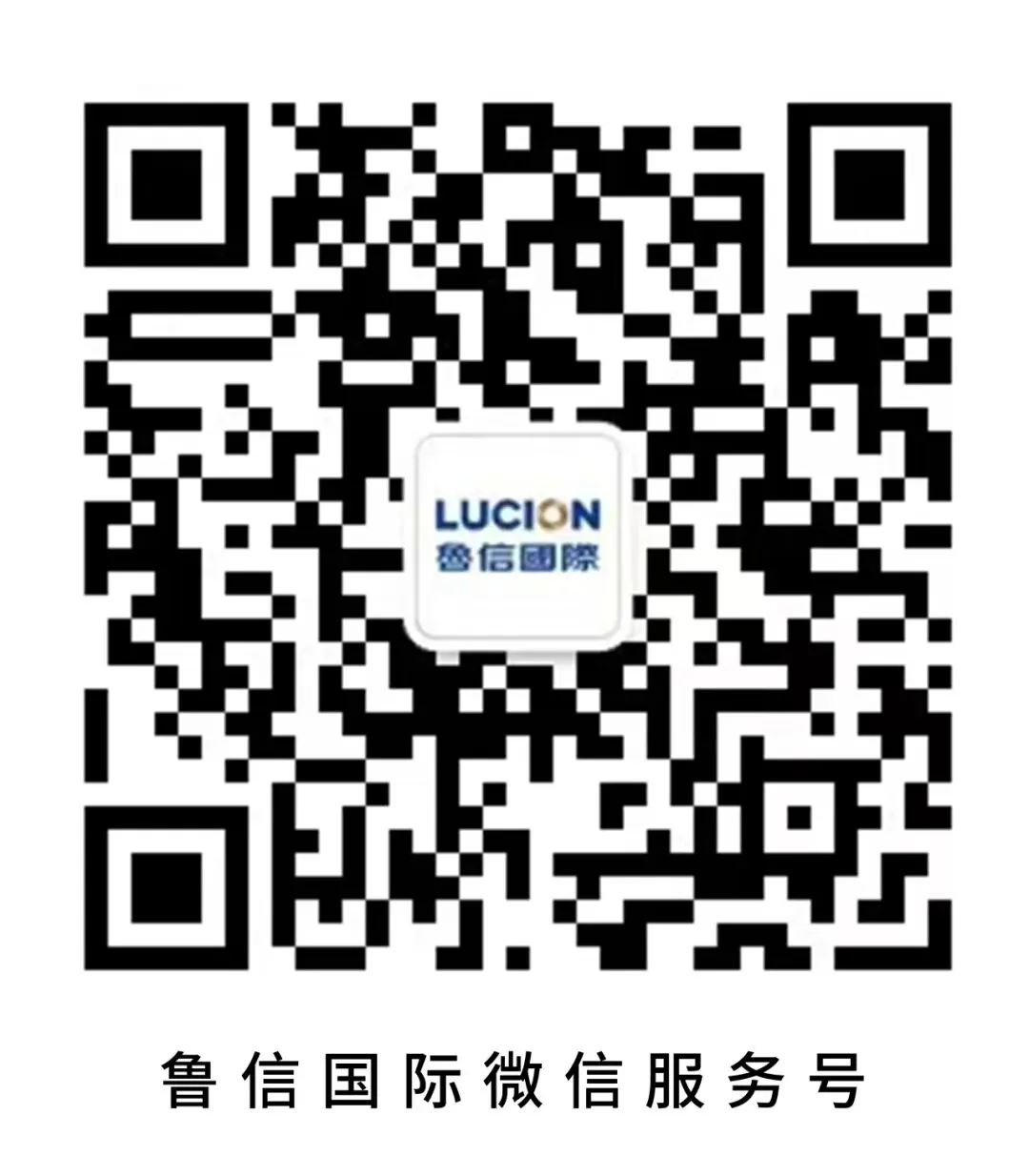 山东债券市场动态