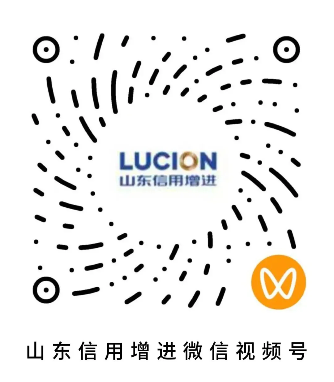 山东债券市场动态