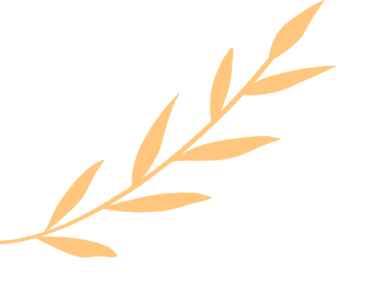 3月28日 | 河南省毕业生就业市场师范类分市场暨河南师范大学2026届毕业生春季综合类双选会邀请函