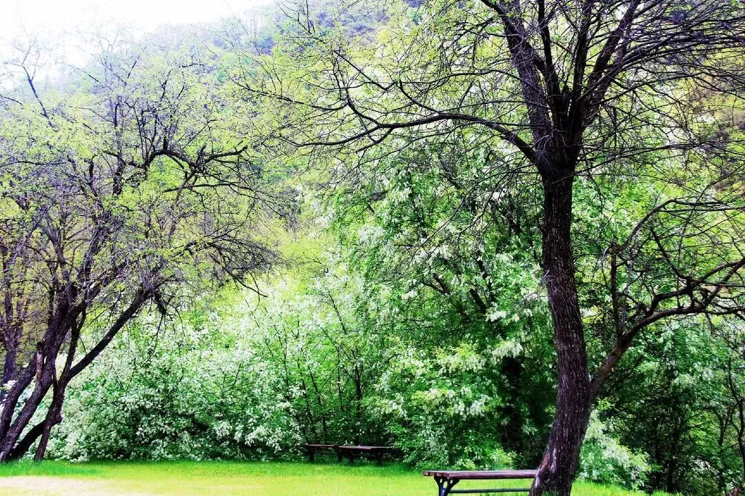春季营销奏凯歌,六盘盛景醉宾朋