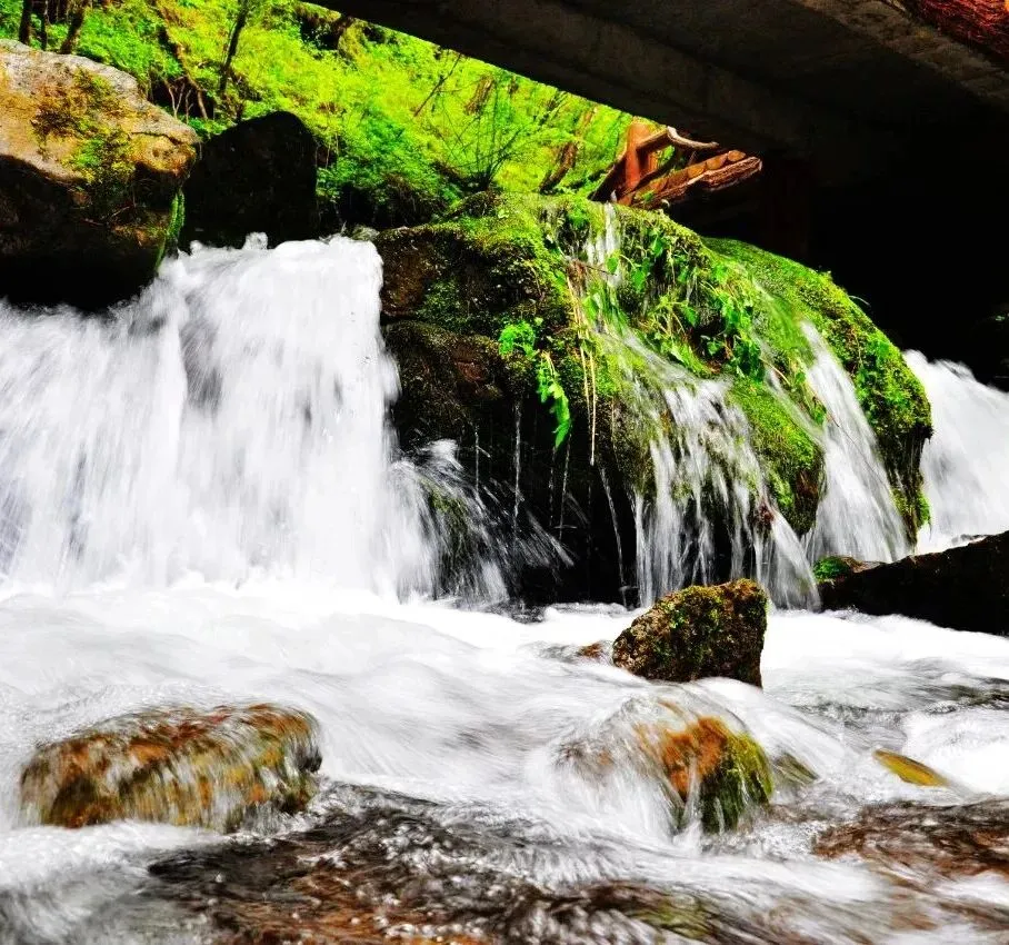 春季营销奏凯歌,六盘盛景醉宾朋