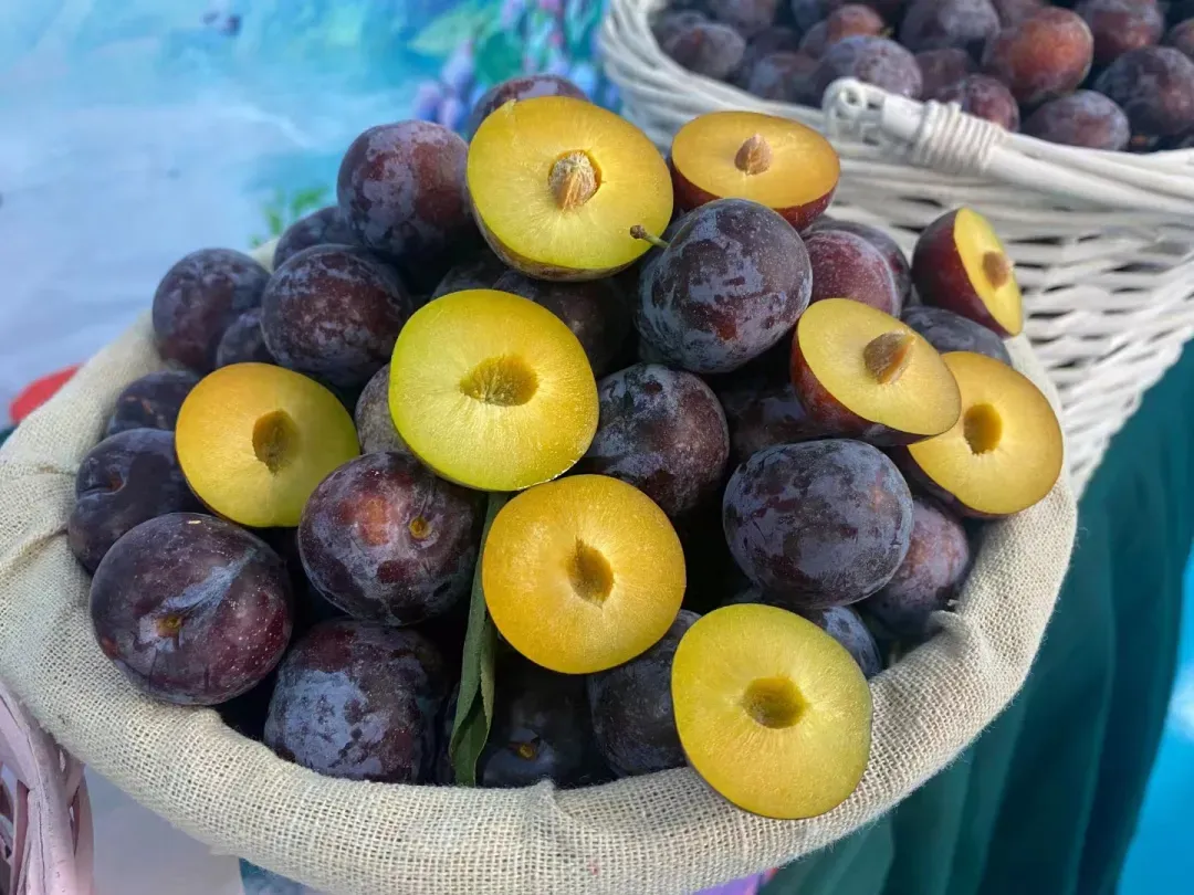 那坡县市场监管局开展2026年校园及托管托育机构食品安全培训