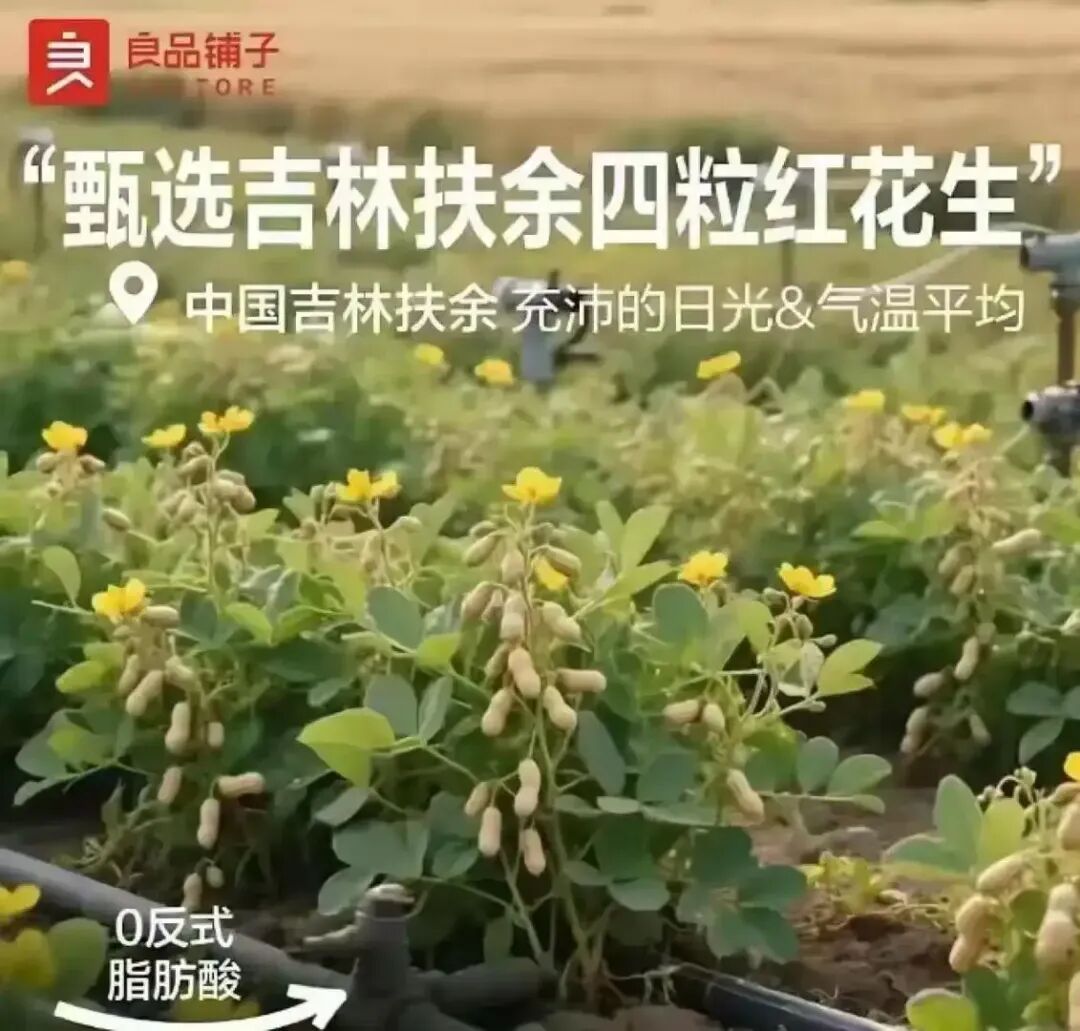 小公司做不好营销的原因:色、受、想、行、识——五蕴不通