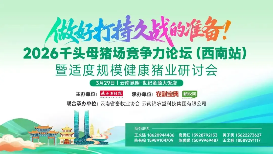 市场走货顺畅!江西、广东、浙江上涨||3月17日全国鸡价