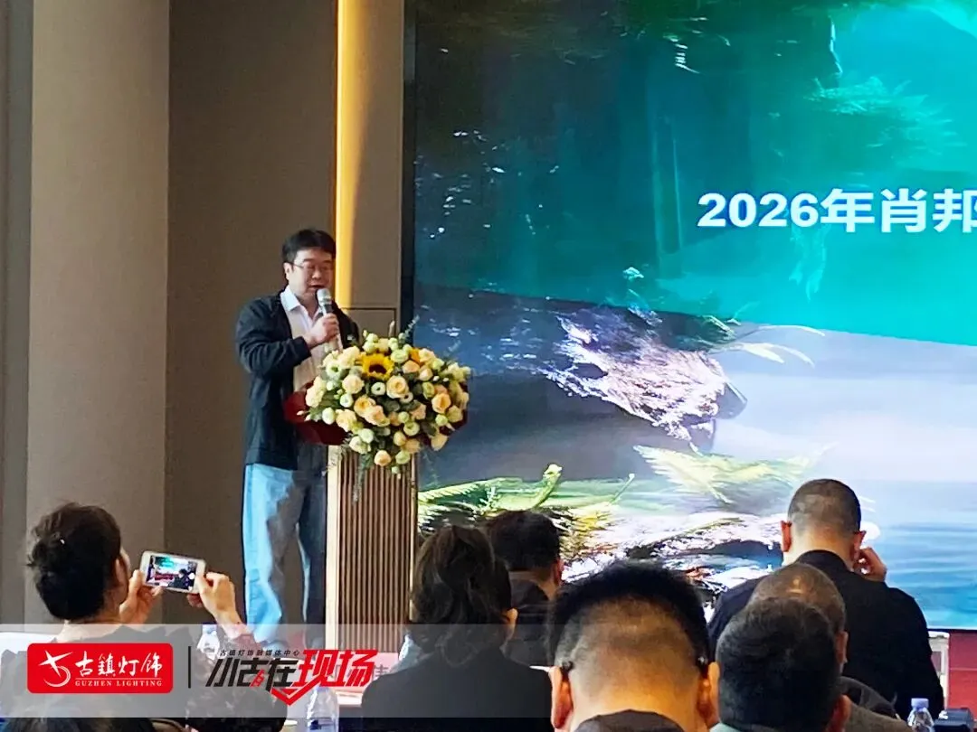 雷士照明,重庆市场明确一个方向!