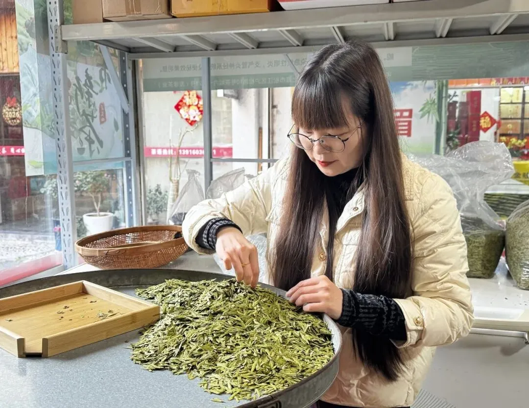 松江茶叶市场明前茶抢“鲜”上市,价格小幅回落→