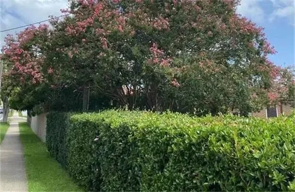 澳储行加息25个基点至4.1% 市场预期年内还将三次加息 担忧战争阴云难消 投资者转向黄金和大宗商品 黄金海岸房市持续火爆 买家逆市而行