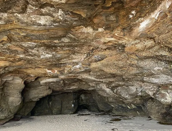 澳储行加息25个基点至4.1% 市场预期年内还将三次加息 担忧战争阴云难消 投资者转向黄金和大宗商品 黄金海岸房市持续火爆 买家逆市而行