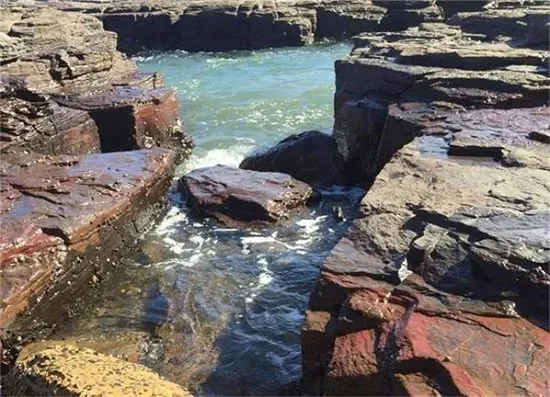 澳储行加息25个基点至4.1% 市场预期年内还将三次加息 担忧战争阴云难消 投资者转向黄金和大宗商品 黄金海岸房市持续火爆 买家逆市而行