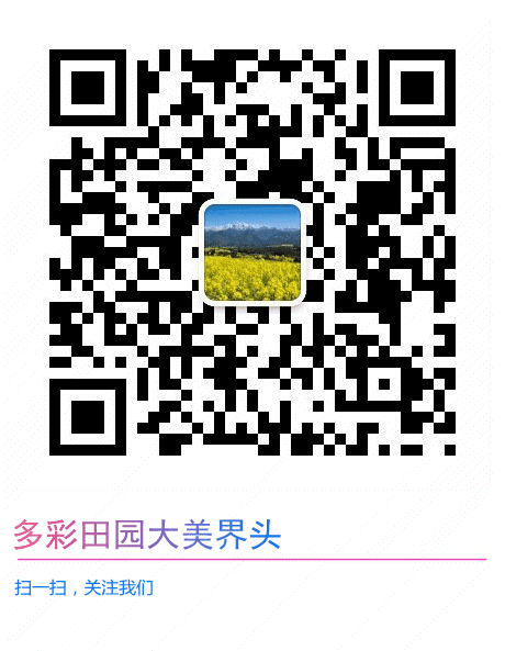 界头市场监管所开展春季学校食堂安全专项检查