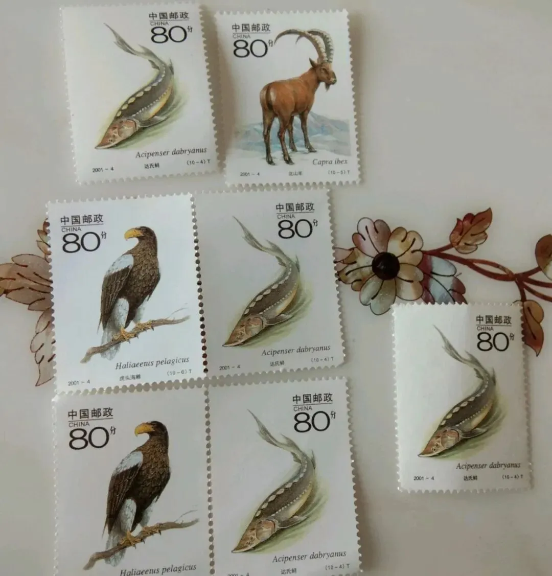 乱象丛生!集邮市场的乱象背后:邮资票品发行为了圈钱,集邮队伍萎缩