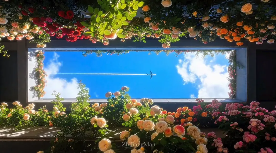 一文读懂旅游市场营销:从基础到前沿,解锁文旅增长密码